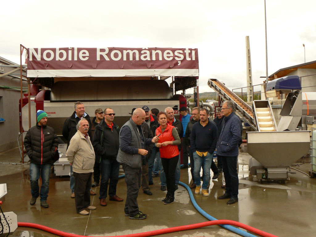 DRUMUL VINULUI I 2016